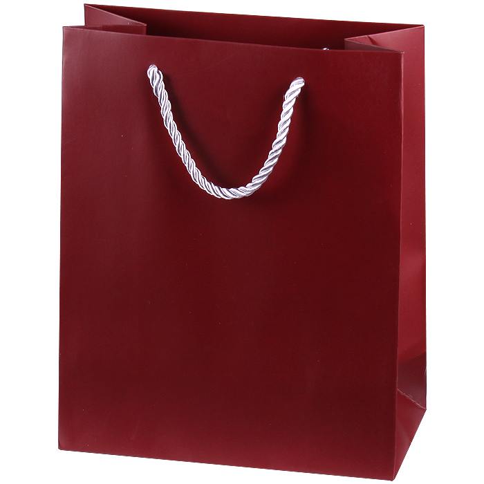 Пакет подарочный 19,5*24,5*9, 5 см Darvish цвет ассорти, 1 шт.