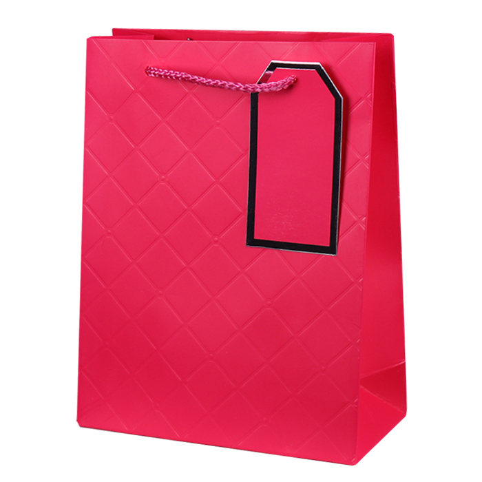 Пакет подарочный 24*18*8 см Darvish цвет ассорти, 1 шт.