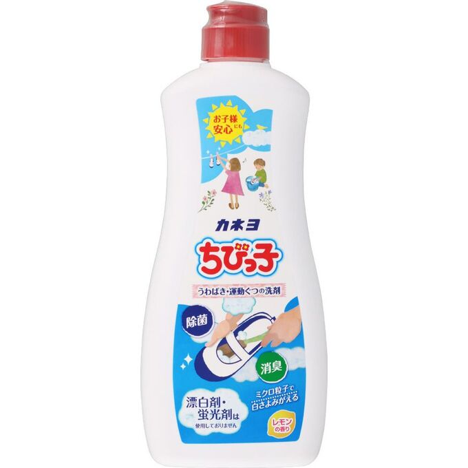 Чистящее и дезодорирующее средство для обуви и стелек KANEYO 450 гр